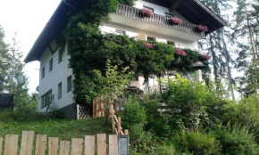 Pension Adlerhorst, Ramsau Am Dachstein, Österreich
